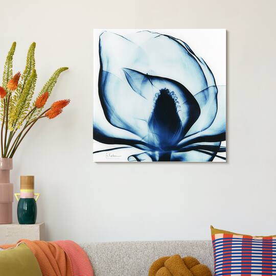 Empire Art Direct 24" x 24" Blue Magnolia X-Ray Frameless Free Floating Printed Tempered Glass Wall Art